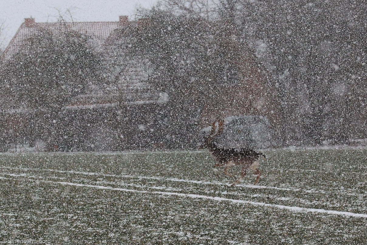 Eisenbahn-Nord